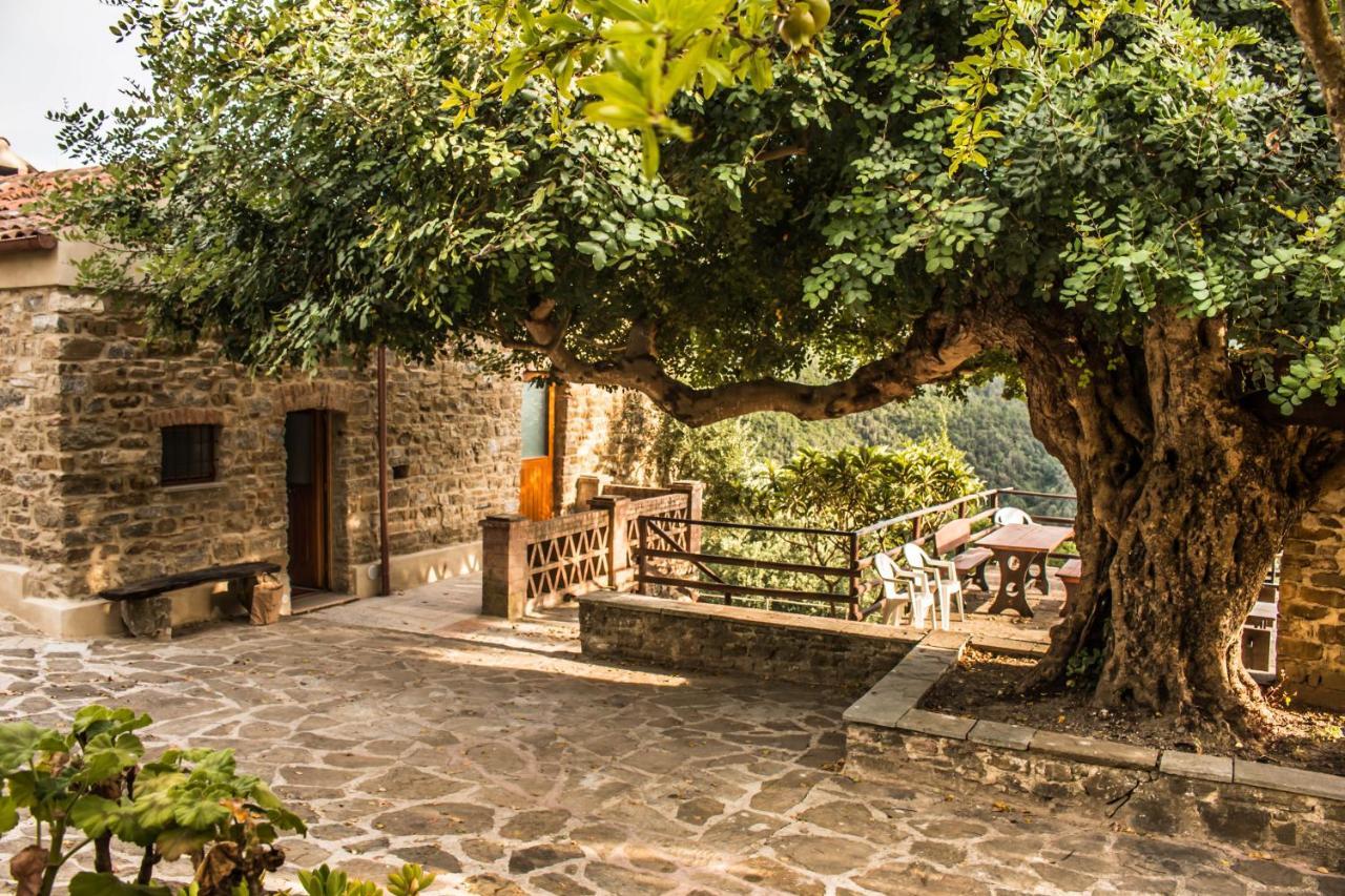 Bed and Breakfast Casale I Cirillo Rutino Exteriér fotografie