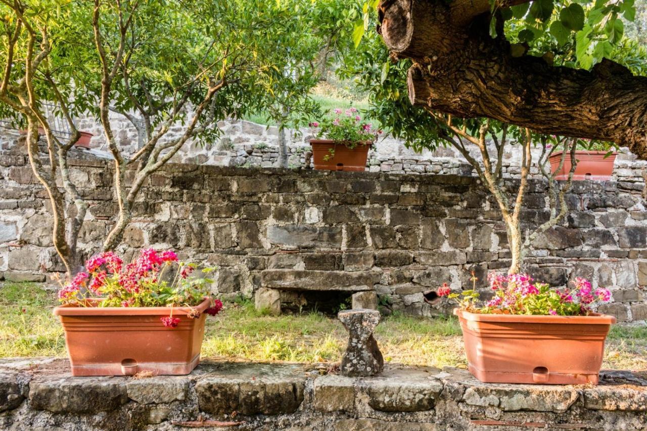Bed and Breakfast Casale I Cirillo Rutino Exteriér fotografie
