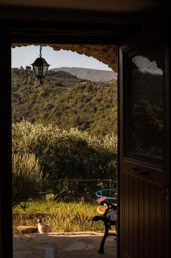 Bed and Breakfast Casale I Cirillo Rutino Exteriér fotografie