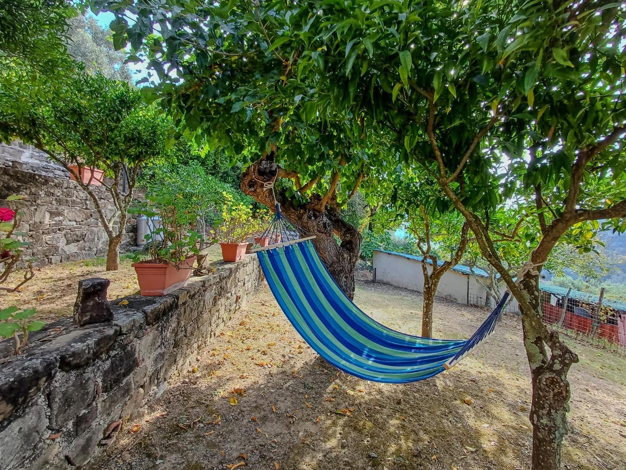 Bed and Breakfast Casale I Cirillo Rutino Exteriér fotografie